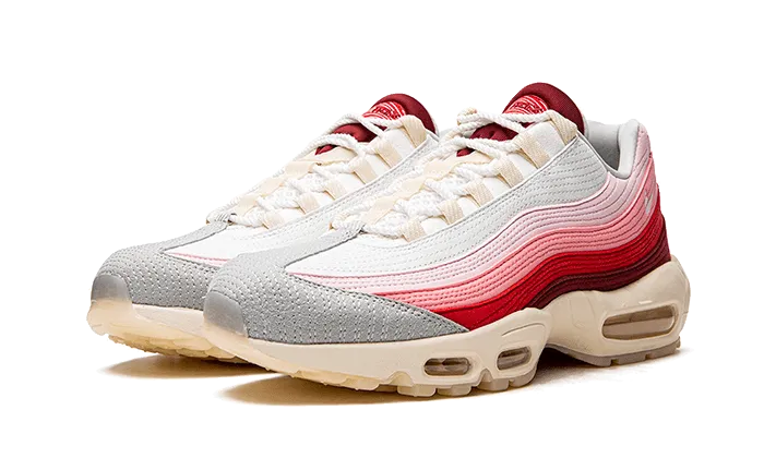 Air Max 95 Anatomy of Air