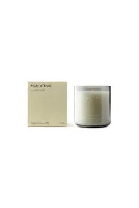 Studio Milligram - Scented Candle - 220g - Study Of Trees